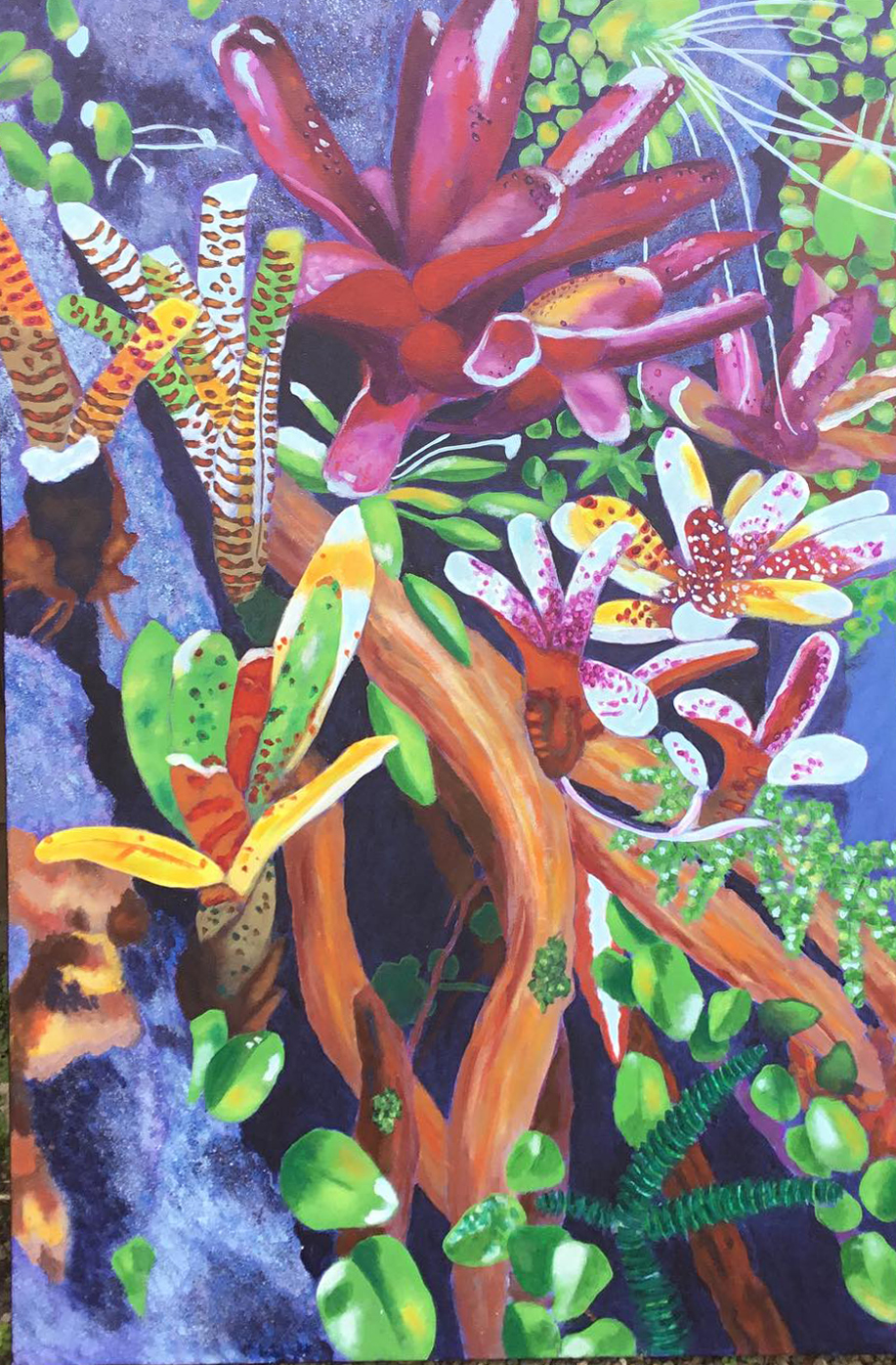 Heard Green Frogs Here  |  26" x 42"